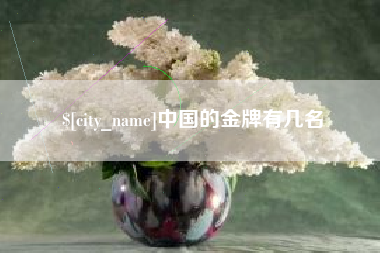 白沙中国的金牌有几名