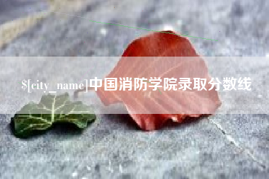 白沙中国消防学院录取分数线