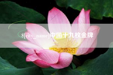 白沙中国十九枚金牌