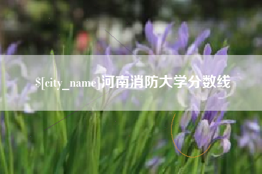 白沙河南消防大学分数线