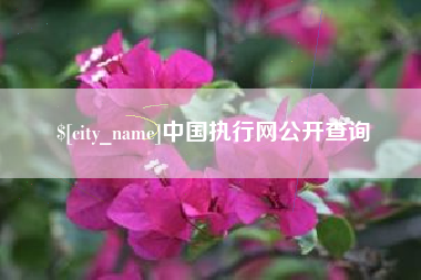 白沙中国执行网公开查询