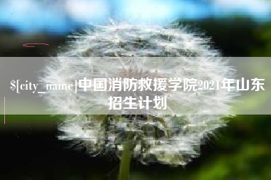白沙中国消防救援学院2021年山东招生计划