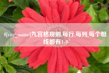 白沙九宫格规则,每行,每列,每个粗线都有1-9
