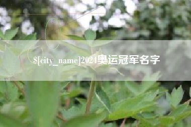 白沙2024奥运冠军名字