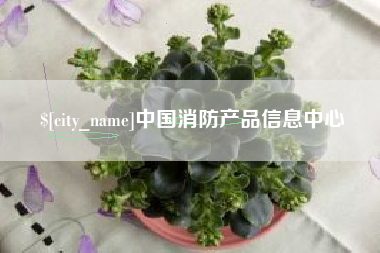 白沙中国消防产品信息中心