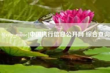 白沙中国执行信息公开网 综合查询