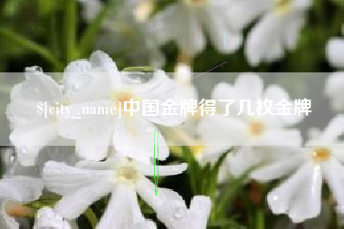 白沙中国金牌得了几枚金牌