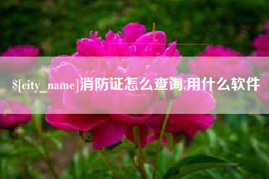 白沙消防证怎么查询,用什么软件