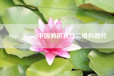 白沙中国消防官方二维码图片