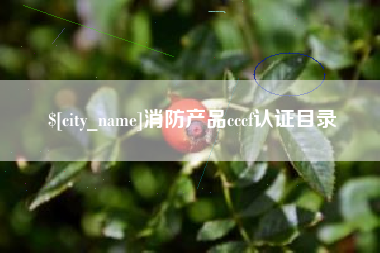 白沙消防产品cccf认证目录