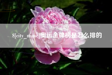 白沙奥运金牌榜是怎么排的