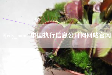 白沙中国执行信息公开网网站官网