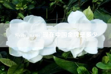 白沙现在中国金牌是多少