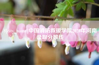 白沙中国消防救援学院2020年河南录取分数线