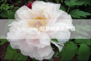 白沙应急救援员价格