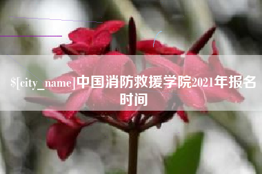 白沙中国消防救援学院2021年报名时间