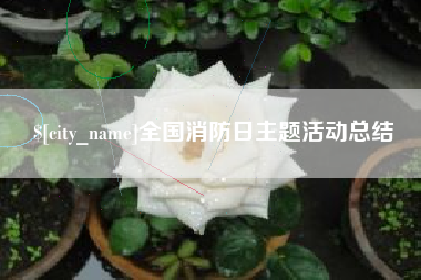 白沙全国消防日主题活动总结