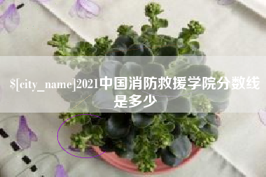 白沙2021中国消防救援学院分数线是多少
