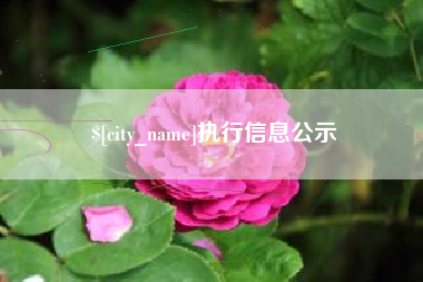 白沙执行信息公示