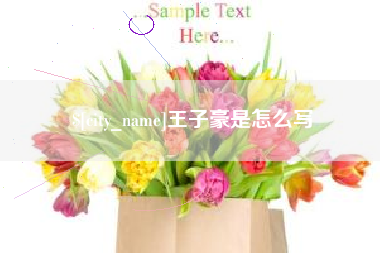 白沙王子豪是怎么写