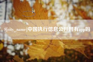 白沙中国执行信息公开网有app吗