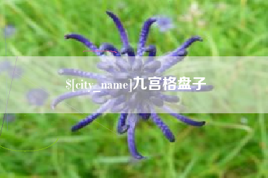 白沙九宫格盘子