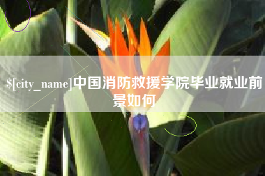 白沙中国消防救援学院毕业就业前景如何