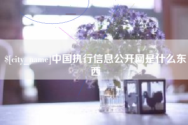 白沙中国执行信息公开网是什么东西
