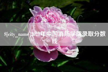 白沙2021年中国消防学院录取分数线