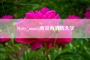 白沙有没有消防大学