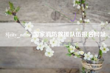 白沙国家消防救援队伍报名网址