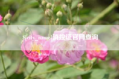 白沙消控证官网查询