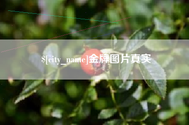 白沙金牌图片真实