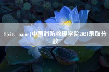 白沙中国消防救援学院2021录取分数