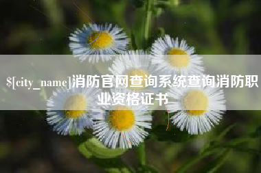 白沙消防官网查询系统查询消防职业资格证书