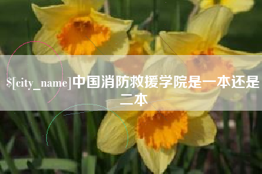 白沙中国消防救援学院是一本还是二本