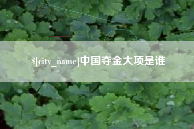 白沙中国夺金大项是谁