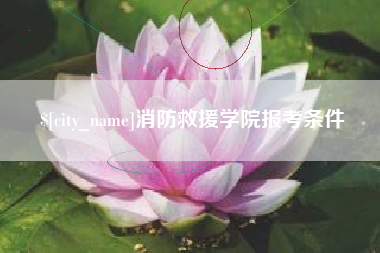 白沙消防救援学院报考条件