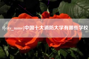 白沙中国十大消防大学有哪些学校
