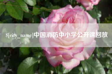 白沙中国消防中小学公开课回放
