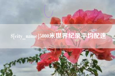 白沙5000米世界纪录平均配速