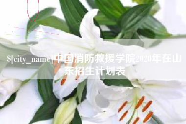 白沙中国消防救援学院2020年在山东招生计划表