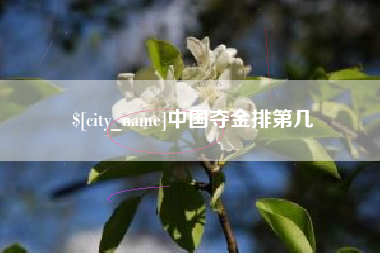 白沙中国夺金排第几