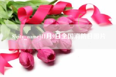 白沙11月9日全国消防日图片