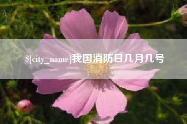 白沙我国消防日几月几号