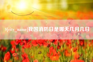 白沙我国消防日是哪天几月几日