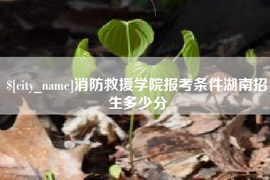 白沙消防救援学院报考条件湖南招生多少分