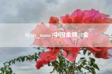 白沙中国金牌18金