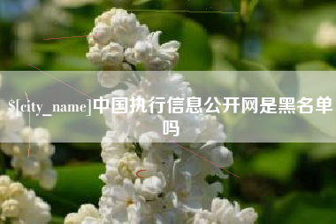 白沙中国执行信息公开网是黑名单吗