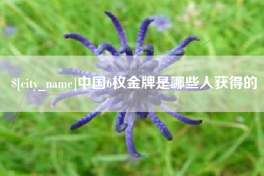 白沙中国6枚金牌是哪些人获得的